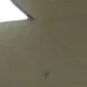 9nine8