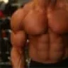 BlueJayMuscle