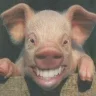 mongogerry1