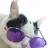 PrittyKitty