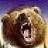 ! RUSSIAN BEAR !