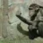 kyoshi07