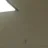 9nine8