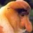 Nilt