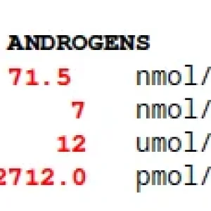 Screenshot 2025-02-19 at 8.17.36 am.webp