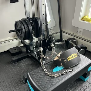 belt squat.webp