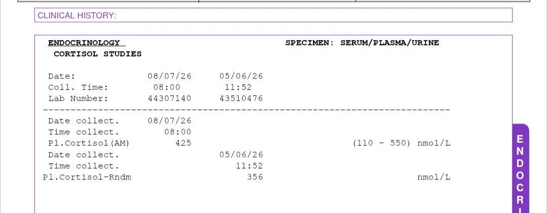 8336.webp