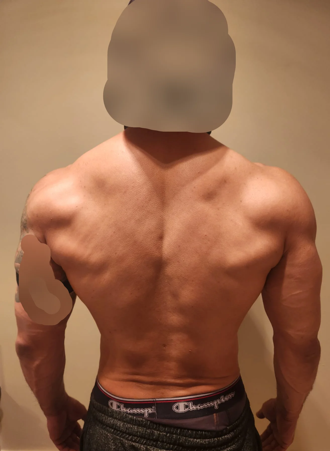 Back_scrubbed.webp