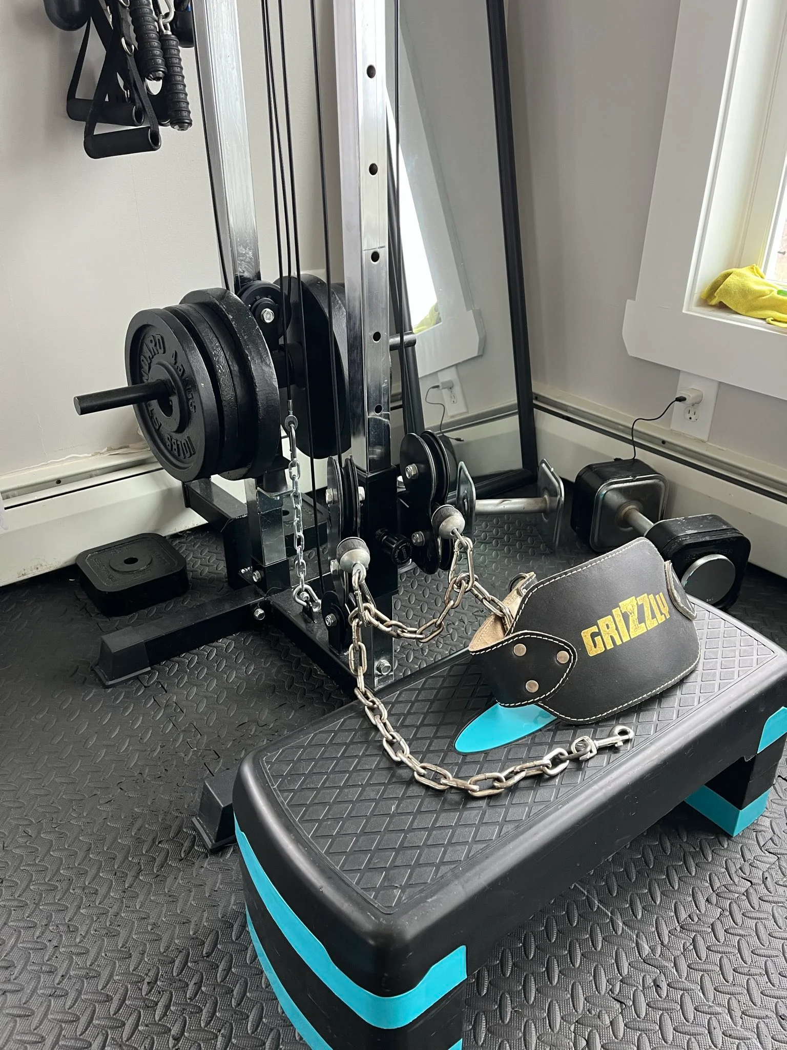 belt squat.webp