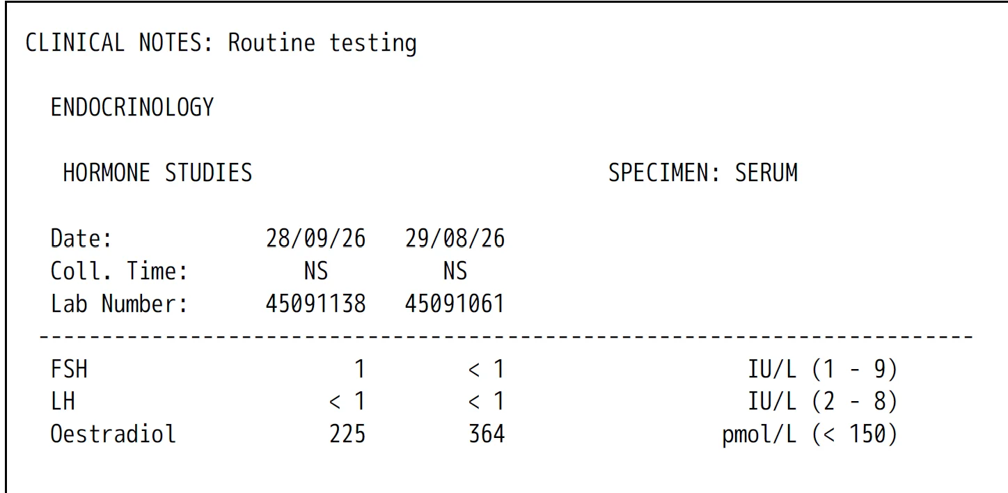 E2.webp