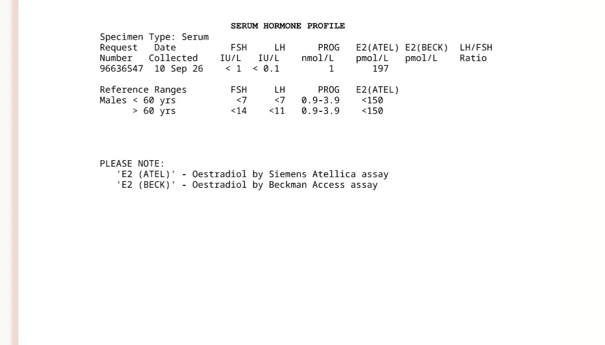IMG_2026.webp