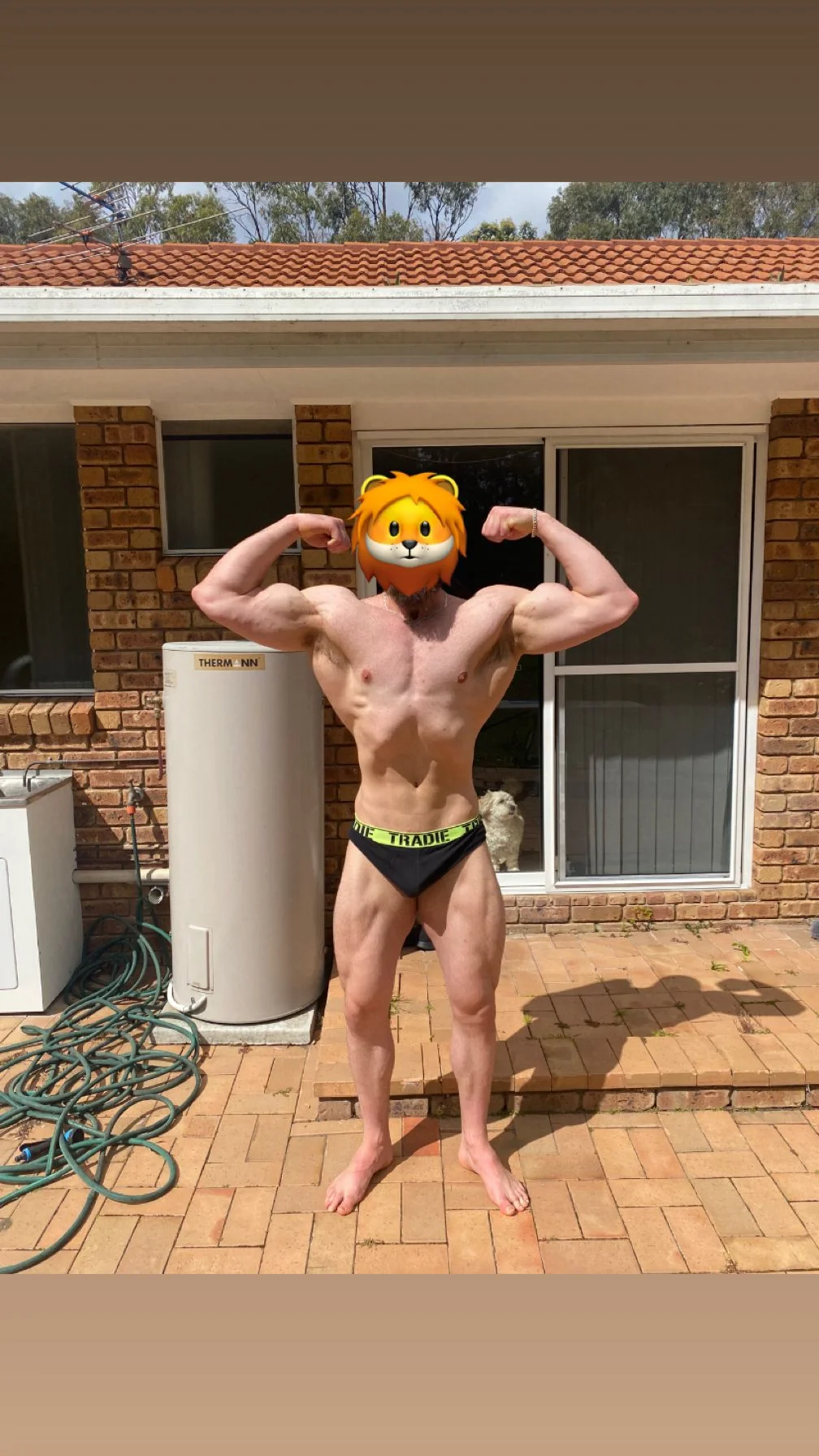 WhatsApp Image 2025-10-27 at 21.12.36_bcef7a14.webp