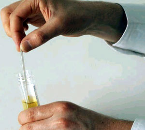 Drug testing for steroids in sports