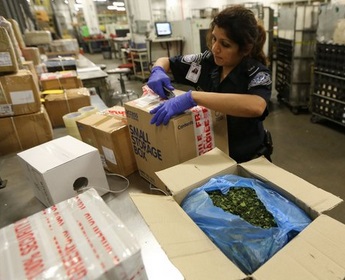 Chinese Steroids Inspected by US Customs