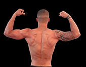 Postado em EliteFitness.com por músculo catalisador