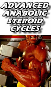 Anabolic Steroid Cycles - click here!